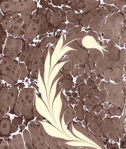 Ebru von Arzu Adak