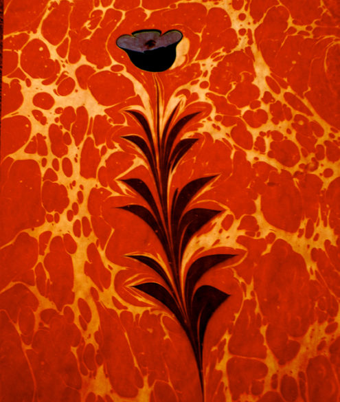 Ebru von Arzu Adak