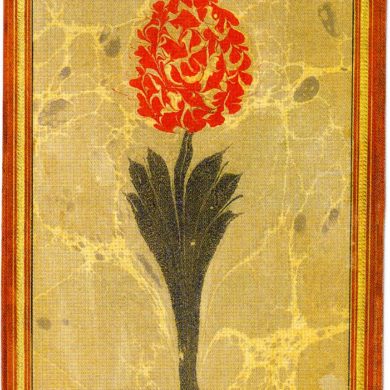 Ebru von Mustafa Düzgünman