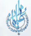 Ameer Youssef-Omar