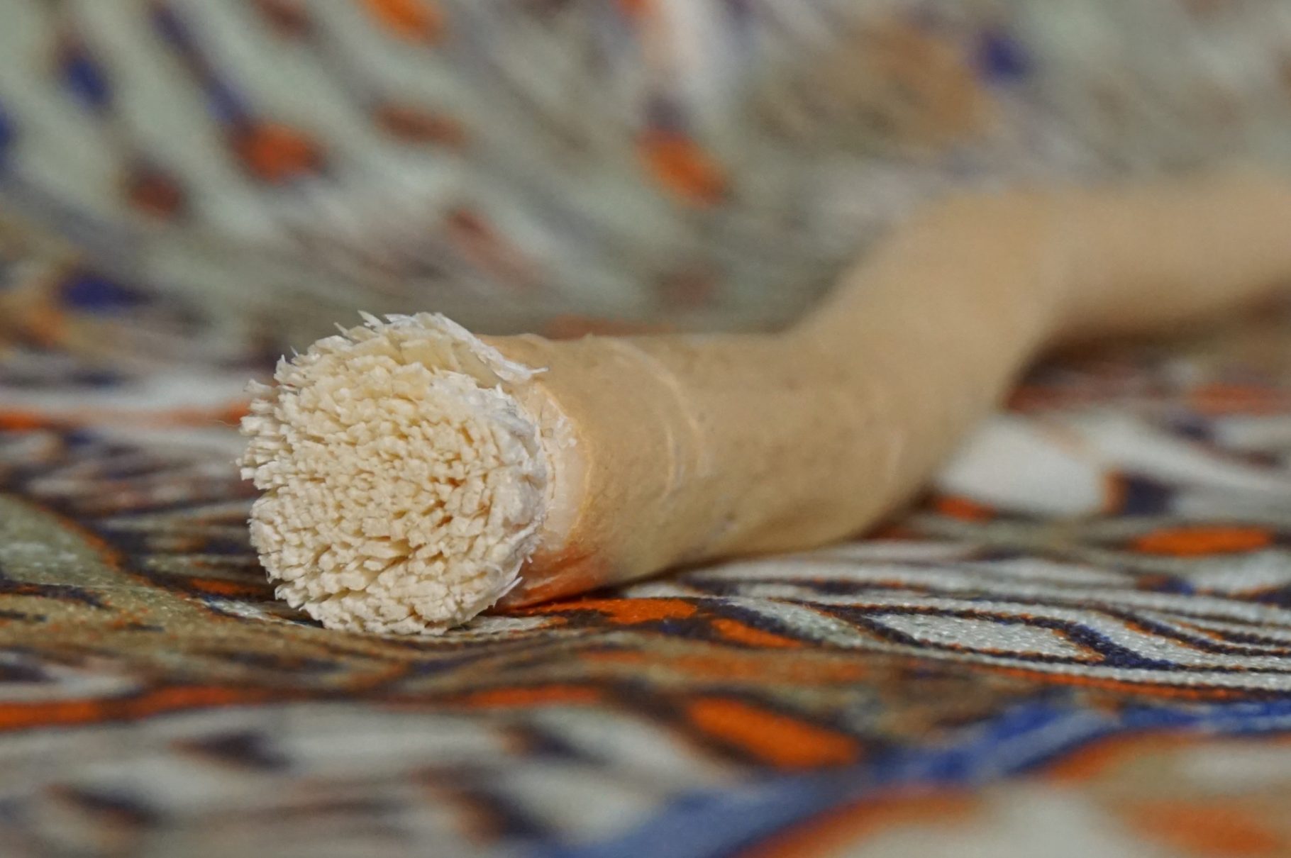 Miswak – Die älteste Zahnbürste der Geschichte