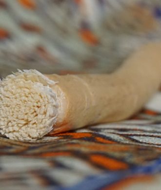 Miswak